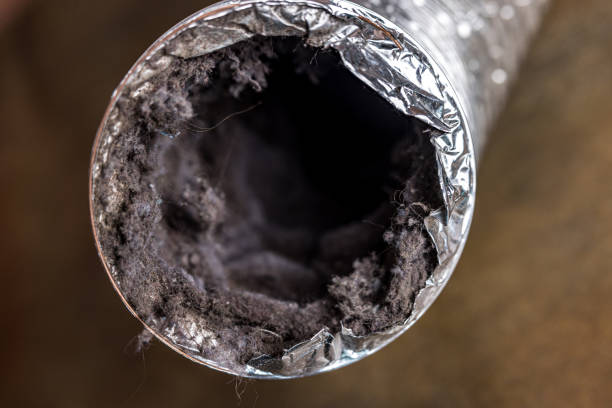Best HVAC Duct Inspection Services  in Gooding, ID