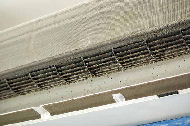 Best Air Duct Cleaning Near Me  in Gooding, ID